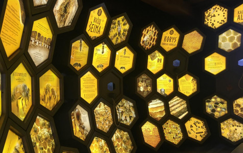 Aukštaitijos nac parko Bitininkystes muz expo1.JPG